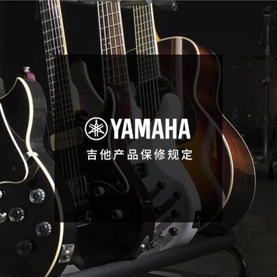 吉他、贝斯和音箱