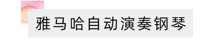 活动报道 | “科技助力，跨越时空”，小鹿纯子携手刘明康共享中日音乐盛宴